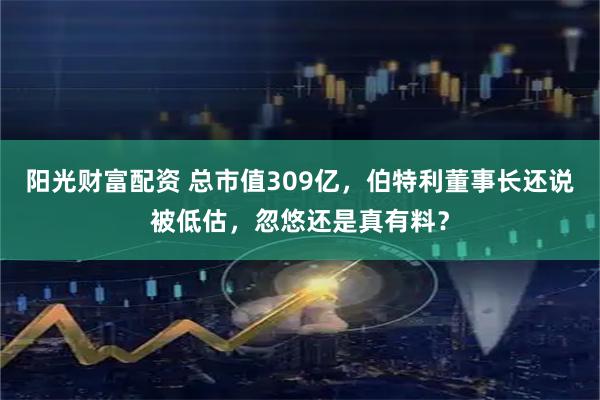阳光财富配资 总市值309亿，伯特利董事长还说被低估，忽悠还是真有料？
