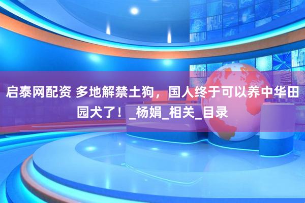 启泰网配资 多地解禁土狗，国人终于可以养中华田园犬了！_杨娟_相关_目录
