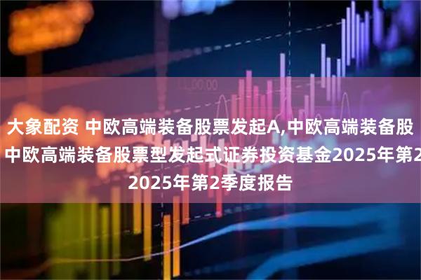 大象配资 中欧高端装备股票发起A,中欧高端装备股票发起C: 中欧高端装备股票型发起式证券投资基金2025年第2季度报告