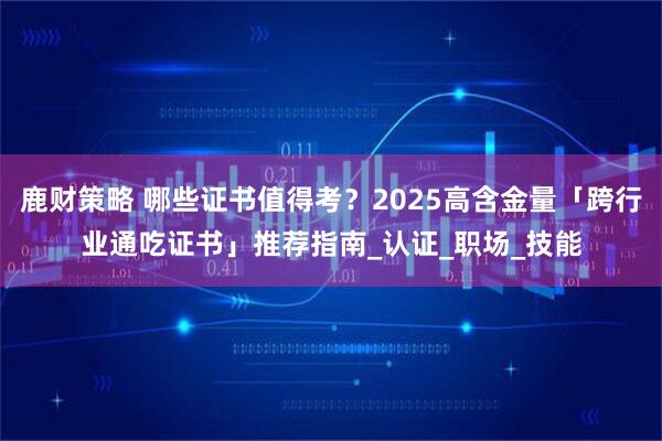 鹿财策略 哪些证书值得考？2025高含金量「跨行业通吃证书」推荐指南_认证_职场_技能
